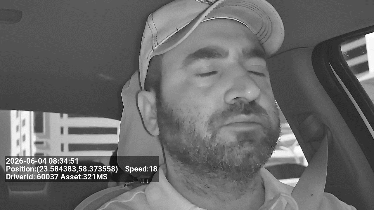 AFDD Micro Sleep Detection